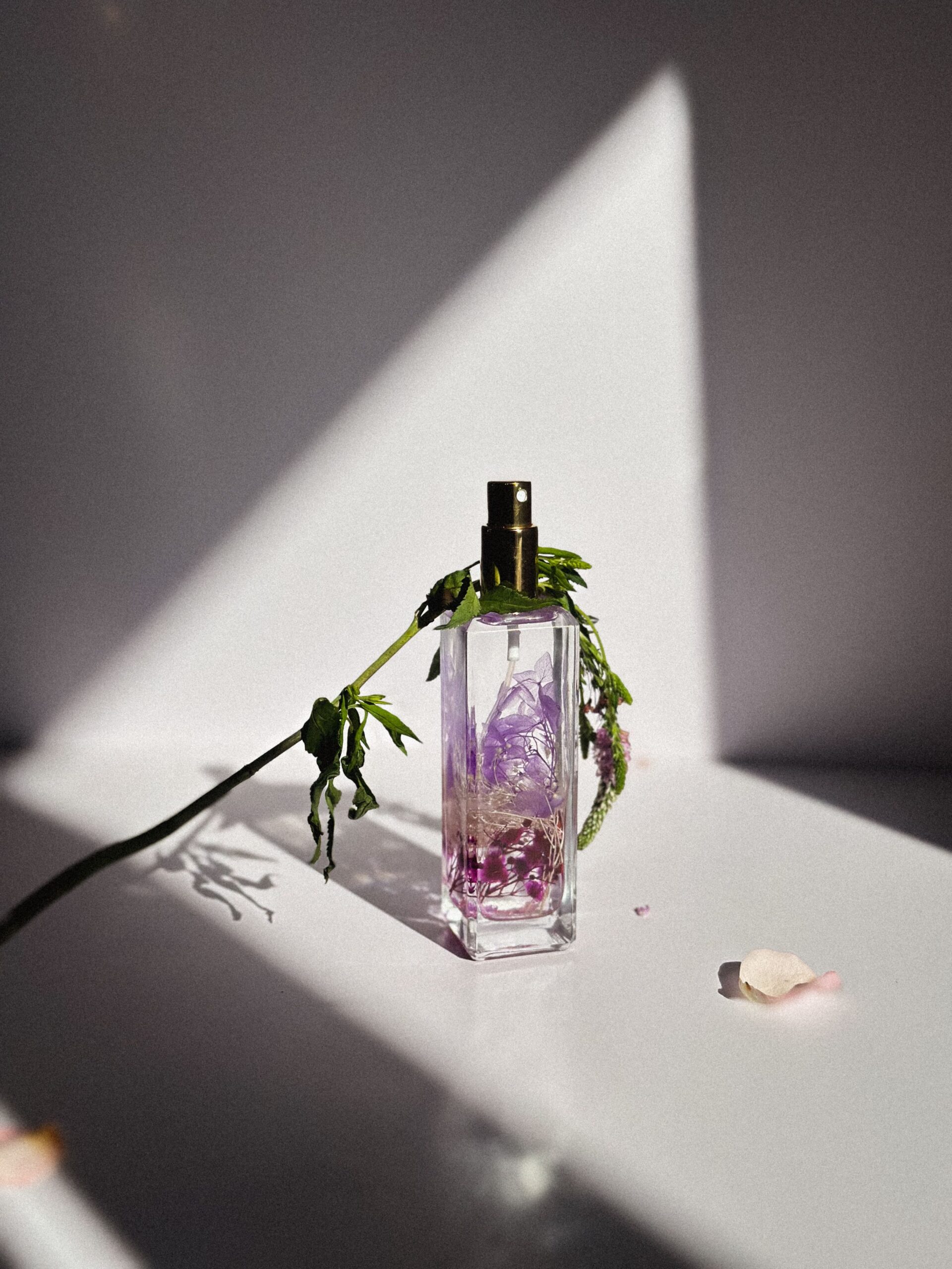 pexels photo 35237609 35237609 A beautifully crafted perfume bottle with delicate florals and dramatic shadows.